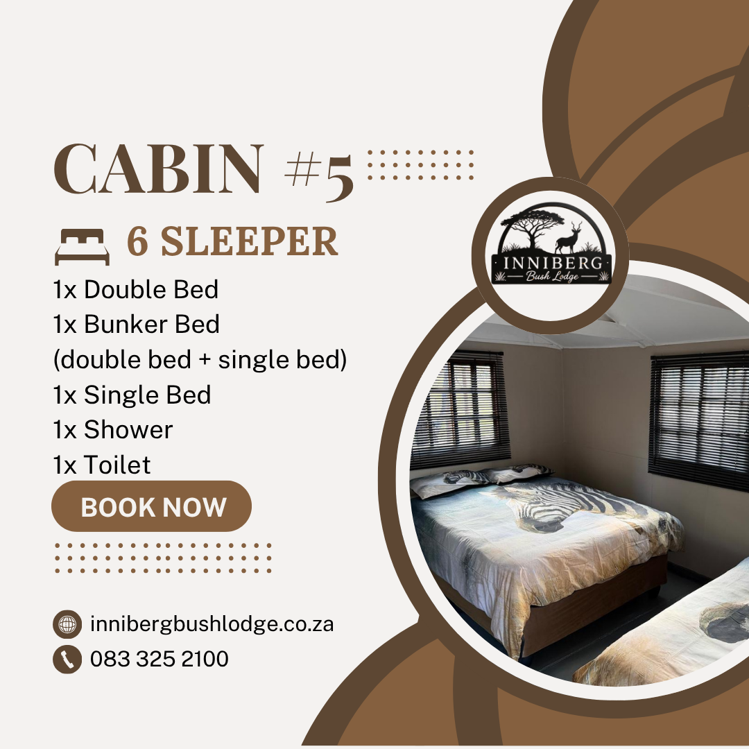 Wooden Cabin #5 - 6 Sleeper (Shower)